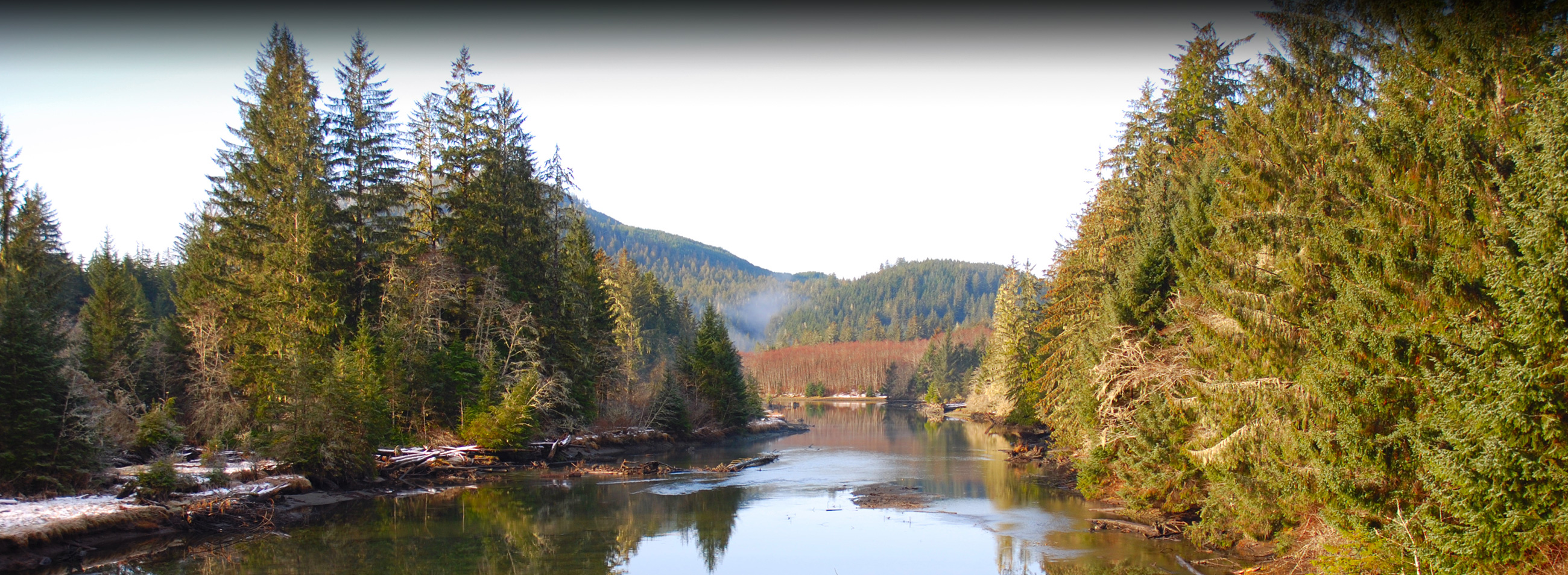 Port Alberni Shelter