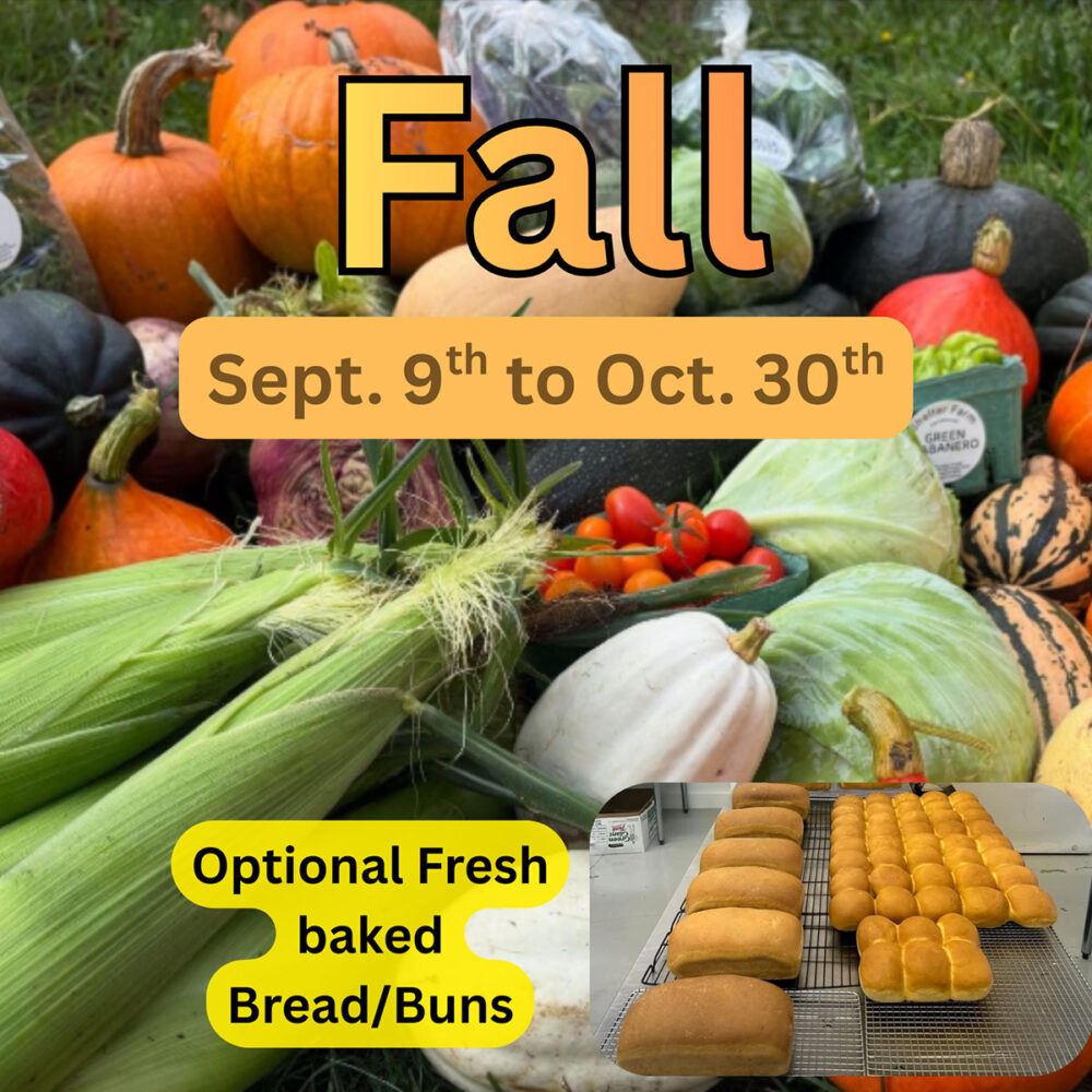 Fall 2026 CSA Weekly Veggie Share Subscription - Parksville