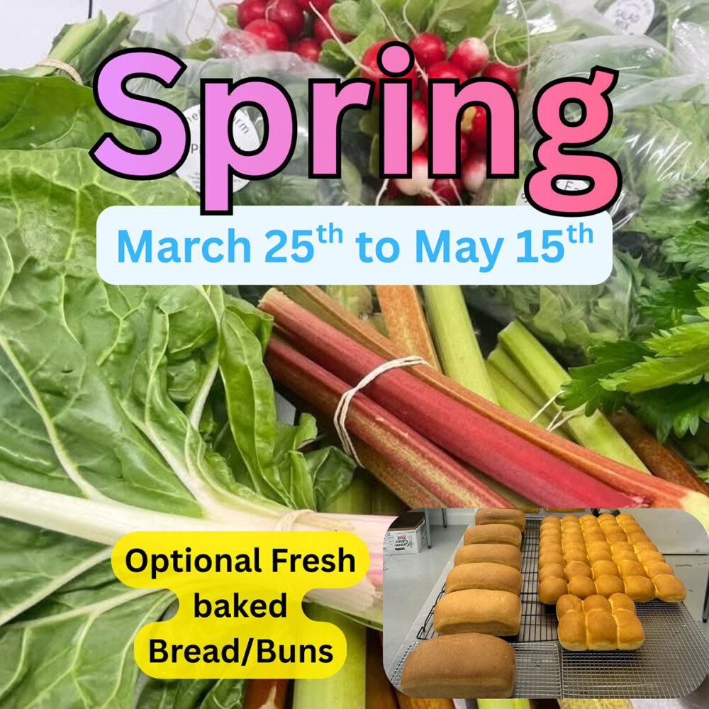 Spring 2026 CSA Weekly Veggie Share Subscription - Parksville