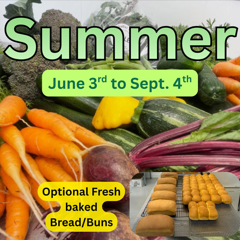 Summer 2026 CSA Weekly Veggie Share Subscription - Parksville