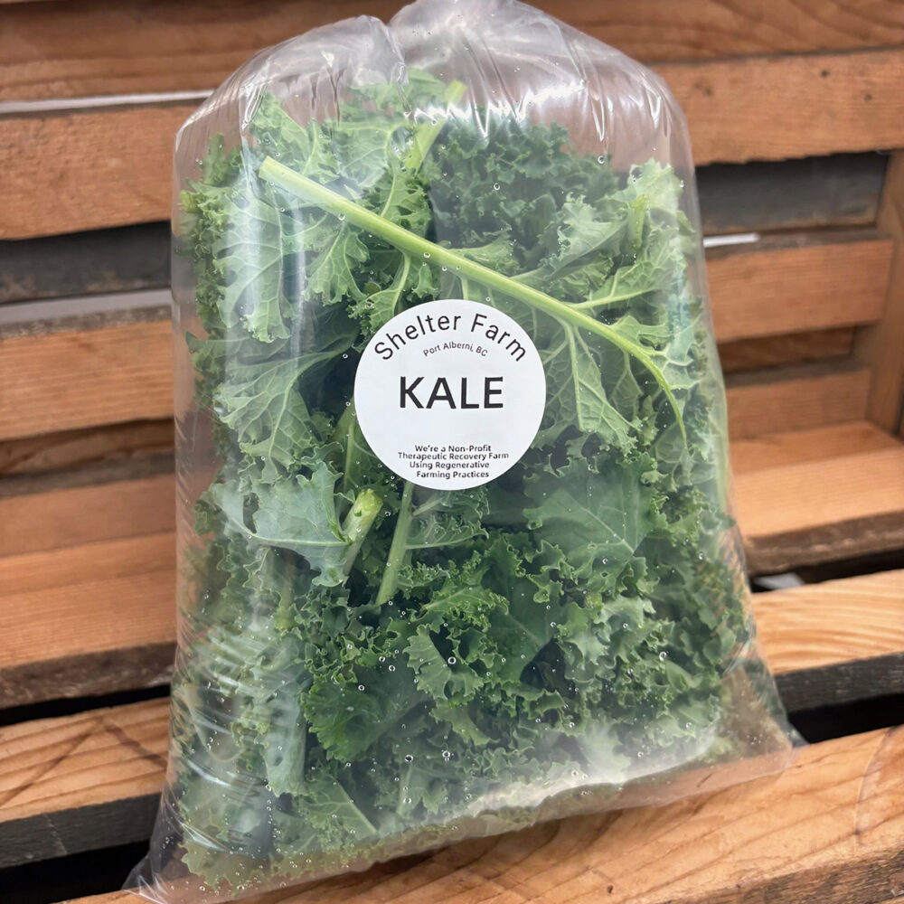 Kale, Curly Green