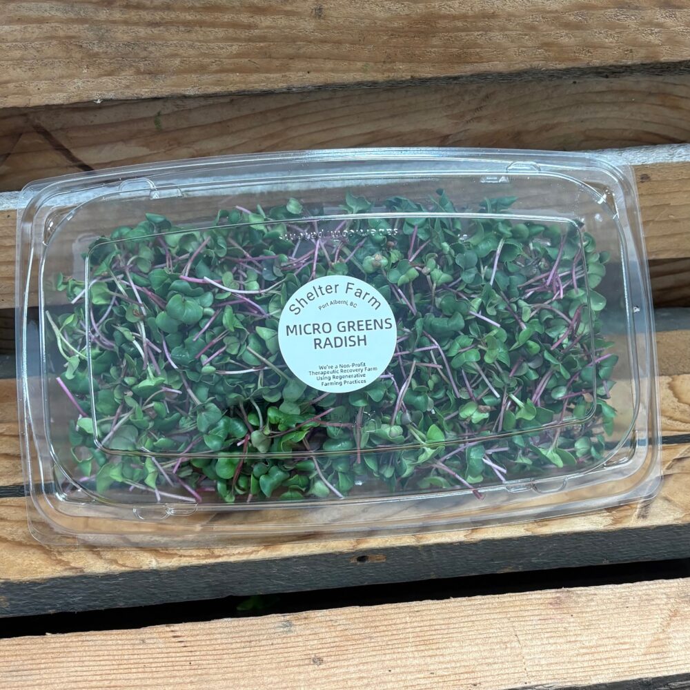 Microgreens, Radish